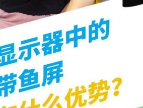 显示器上下有线现象原因及解决方法（探究显示器上下有线的原因）