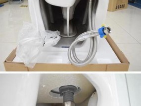 浪鲸马桶反味处理方案及原因解析（消除马桶反味的有效方法与技巧）