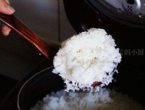 如何让电饭煲煮出香喷喷的米饭（调整电饭煲使用技巧）