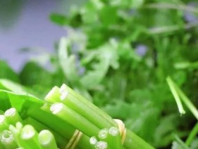 以冰柜保存花甲的方法（保鲜花甲不失鲜美的小窍门）