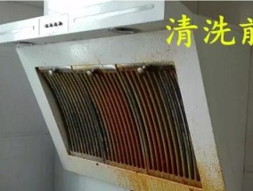 油烟机污垢清洗方法大揭秘（掌握清洗技巧）