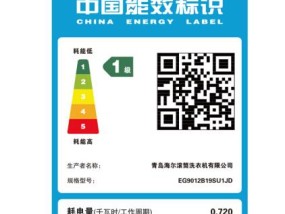 滚筒洗衣机报E62故障解决方法（如何应对滚筒洗衣机E62故障）