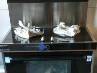 如何解决集成灶发黄问题（清洁与保养关键）