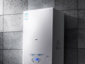 壁挂炉显示E1故障解析与处理方法（探究壁挂炉显示E1故障原因及解决方案）