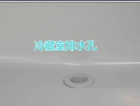冰柜门滴水问题的解决办法（有效避免冰柜门滴水的方法及技巧）