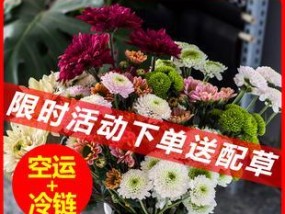 如何利用鲜切花冰柜有效保鲜花束？