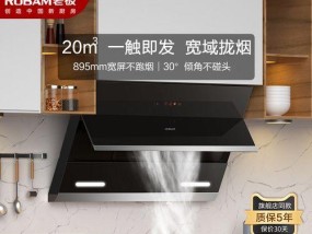 如何正确清洗厨房抽油烟机（掌握清洗技巧）