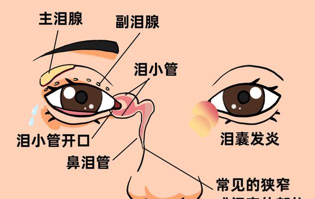 眼镜外鼓调节方法是什么？视频中如何正确调整？  第2张